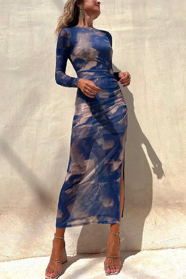 Mesh Print Slim Stretch Long Sleeve Dress