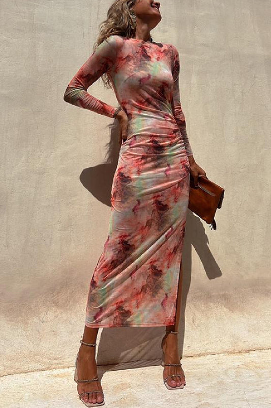 Mesh  Print Slim Stretch Long Sleeve Dress