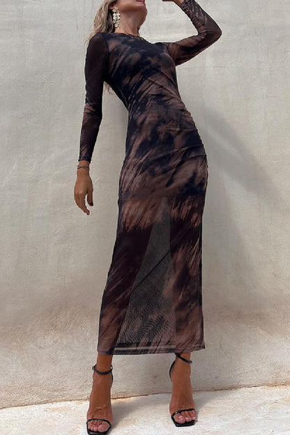 Mesh  Print Slim Stretch Long Sleeve Dress